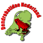 Dendrobatidae Nederland (English)